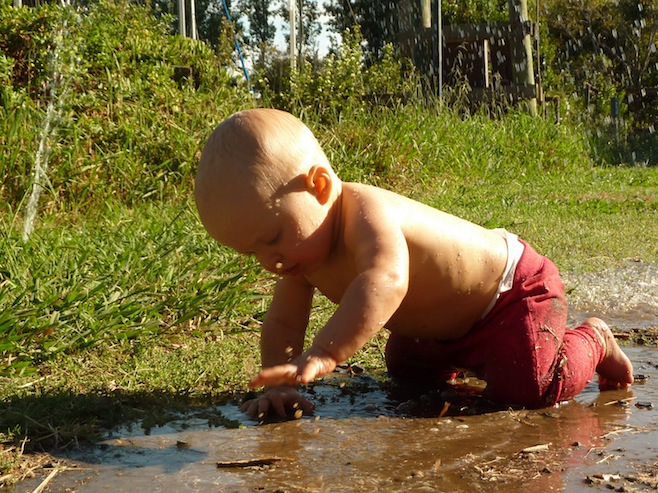 Mud Pies